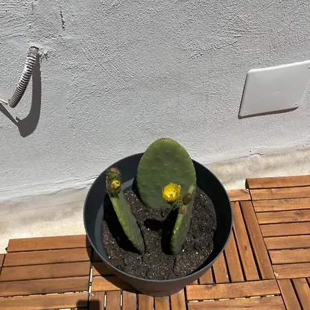 דירה Dimora Del Borgo Antico בארי